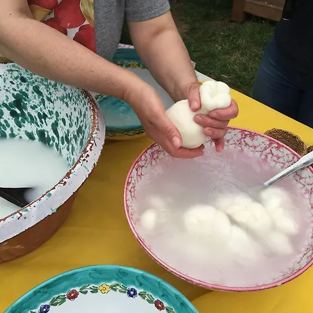 普利马鲁斯农家乐 *