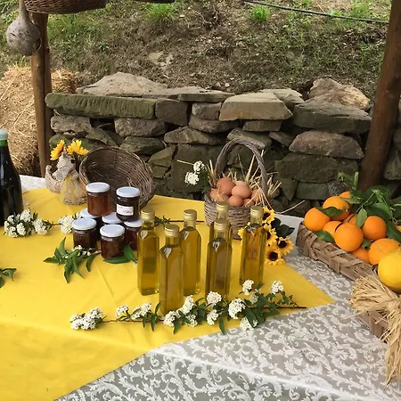 Primaluce Фермерський будинок *